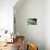 Panama, Central Panama, Barro Colorado Island, Green Parrot Snake-Christian Ziegler-Mounted Photographic Print displayed on a wall