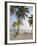 Panama, Comarca de Kuna Yala, San Blas Islands, Kuanidup Grande, Tropical Beach-Jane Sweeney-Framed Photographic Print