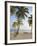 Panama, Comarca de Kuna Yala, San Blas Islands, Kuanidup Grande, Tropical Beach-Jane Sweeney-Framed Photographic Print