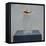 Panama on a Glass Jar-Lincoln Seligman-Framed Premier Image Canvas