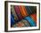 Panama, San Blas Islands, beaded bracelets for sale.-Merrill Images-Framed Photographic Print