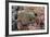 Panamic Green Moray Eel (Gymnothorax Castaneus)-Reinhard Dirscherl-Framed Photographic Print