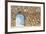 Panarea - the Wall-Giuseppe Torre-Framed Photographic Print