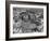 Panaromic View of Rome from Atop St. Peter's Basilica Looking Down on St. Peter's Square-Margaret Bourke-White-Framed Photographic Print