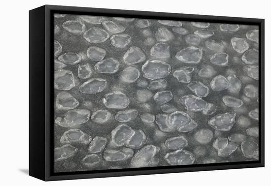 Pancake Ice-DLILLC-Framed Premier Image Canvas