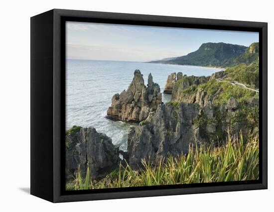 Pancake Rocks, Paparoa National Park, Punakaiki, West Coast, South Island, New Zealand, Pacific-Jochen Schlenker-Framed Premier Image Canvas