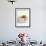 Pancakes with Fruit and Yoghurt Sauce-Gareth Morgans-Framed Photographic Print displayed on a wall