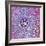 Pancreas Cell, TEM-Steve Gschmeissner-Framed Premium Photographic Print