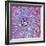 Pancreas Cell, TEM-Steve Gschmeissner-Framed Premium Photographic Print