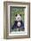 Panda And Baby-null-Framed Premium Giclee Print