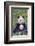 Panda And Baby-null-Framed Premium Giclee Print