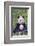 Panda And Baby-null-Framed Premium Giclee Print