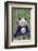 Panda And Baby-null-Framed Premium Giclee Print