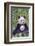 Panda And Baby-null-Framed Premium Giclee Print