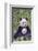 Panda And Baby-null-Framed Premium Giclee Print