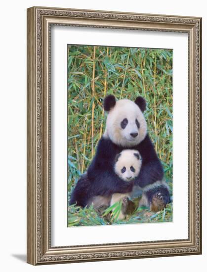 Panda And Baby-null-Framed Art Print