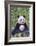 Panda And Baby-null-Framed Art Print