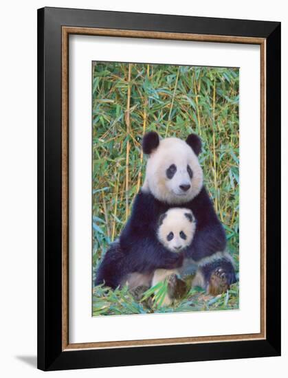 Panda And Baby-null-Framed Art Print