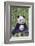 Panda And Baby-null-Framed Art Print