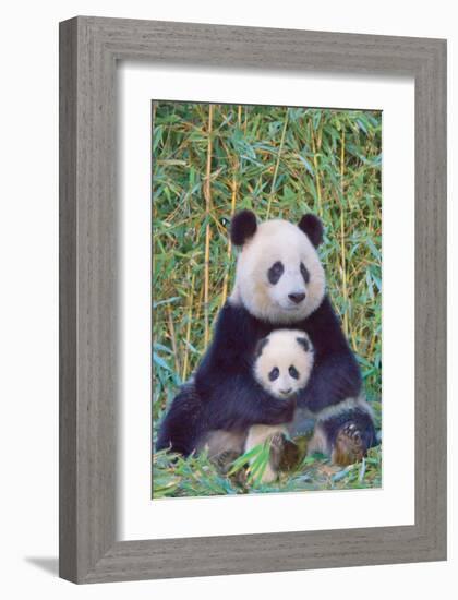 Panda And Baby-null-Framed Art Print