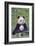 Panda And Baby-null-Framed Art Print