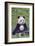 Panda And Baby-null-Framed Art Print