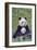 Panda And Baby-null-Framed Art Print