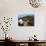 Panda and Great Wall of China-Bill Bachmann-Photographic Print displayed on a wall