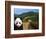 Panda and Great Wall of China-Bill Bachmann-Framed Photographic Print