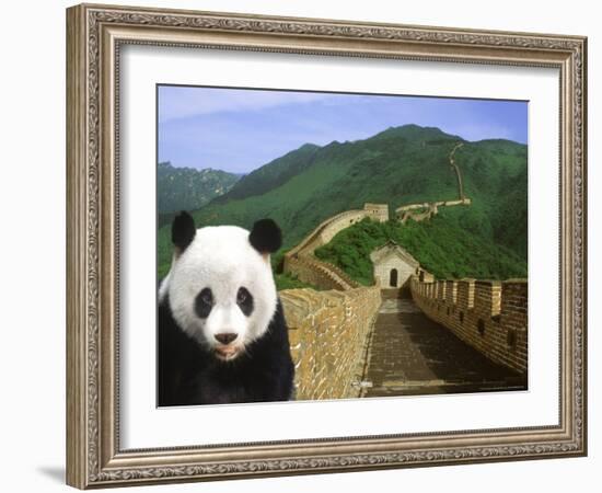 Panda at the Great Wall of China-Bill Bachmann-Framed Photographic Print