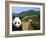 Panda at the Great Wall of China-Bill Bachmann-Framed Photographic Print