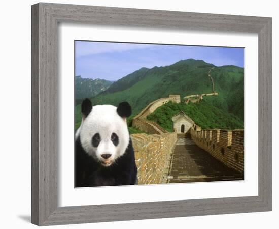 Panda at the Great Wall of China-Bill Bachmann-Framed Photographic Print