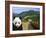 Panda at the Great Wall of China-Bill Bachmann-Framed Photographic Print