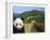 Panda at the Great Wall of China-Bill Bachmann-Framed Photographic Print