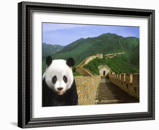 Panda at the Great Wall of China-Bill Bachmann-Framed Photographic Print