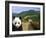 Panda at the Great Wall of China-Bill Bachmann-Framed Photographic Print