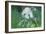 Panda Bear-Whoartnow-Framed Giclee Print