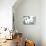 Panda Bears-Cristian Mielu-Premium Giclee Print displayed on a wall