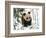 Panda Cub on Snow, Wolong, Sichuan, China-Keren Su-Framed Photographic Print