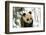 Panda Cub on Snow, Wolong, Sichuan, China-Keren Su-Framed Photographic Print