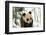 Panda Cub on Snow, Wolong, Sichuan, China-Keren Su-Framed Photographic Print