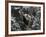 Panda Cub Playing on Tree in Snow, Wolong, Sichuan, China-Keren Su-Framed Photographic Print