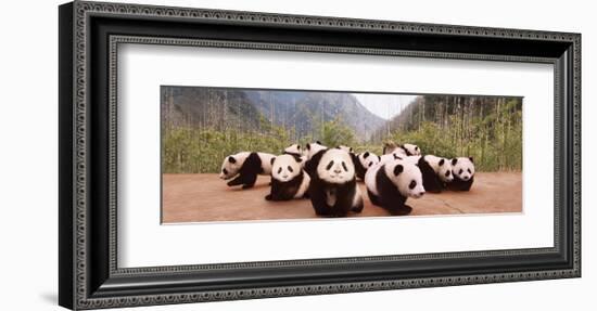 Panda Cubs-null-Framed Art Print