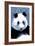 Panda Face - Visit the Zoo-Lantern Press-Framed Art Print