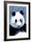 Panda Face - Visit the Zoo-Lantern Press-Framed Premium Giclee Print