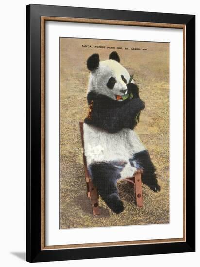 Panda, Forest Park Zoo, St. Louis, Missouri-null-Framed Art Print