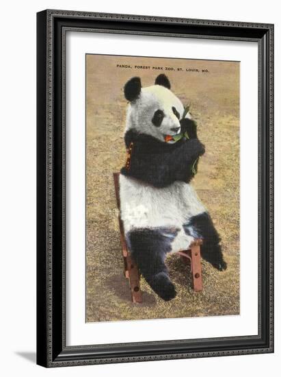 Panda, Forest Park Zoo, St. Louis, Missouri-null-Framed Art Print