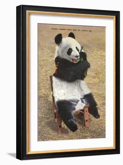 Panda, Forest Park Zoo, St. Louis, Missouri-null-Framed Art Print