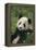 Panda in Grass-DLILLC-Framed Premier Image Canvas