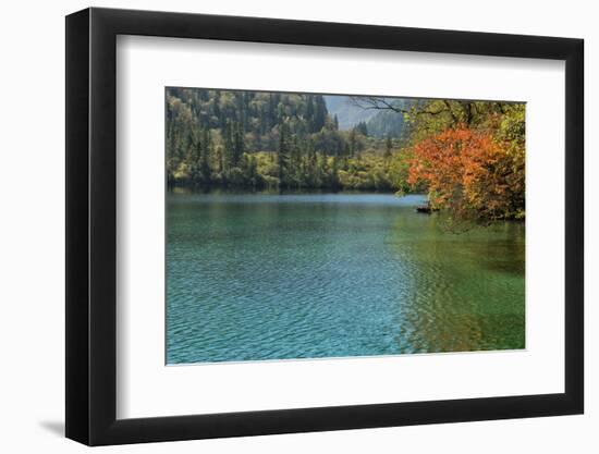 Panda Lake, Jiuzhaigou National Park, UNESCO World Heritage Site, Sichuan Province, China, Asia-G & M Therin-Weise-Framed Photographic Print